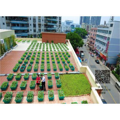 東莞綠家綠市政園林 景觀綠化工程建設(shè)方案全解析